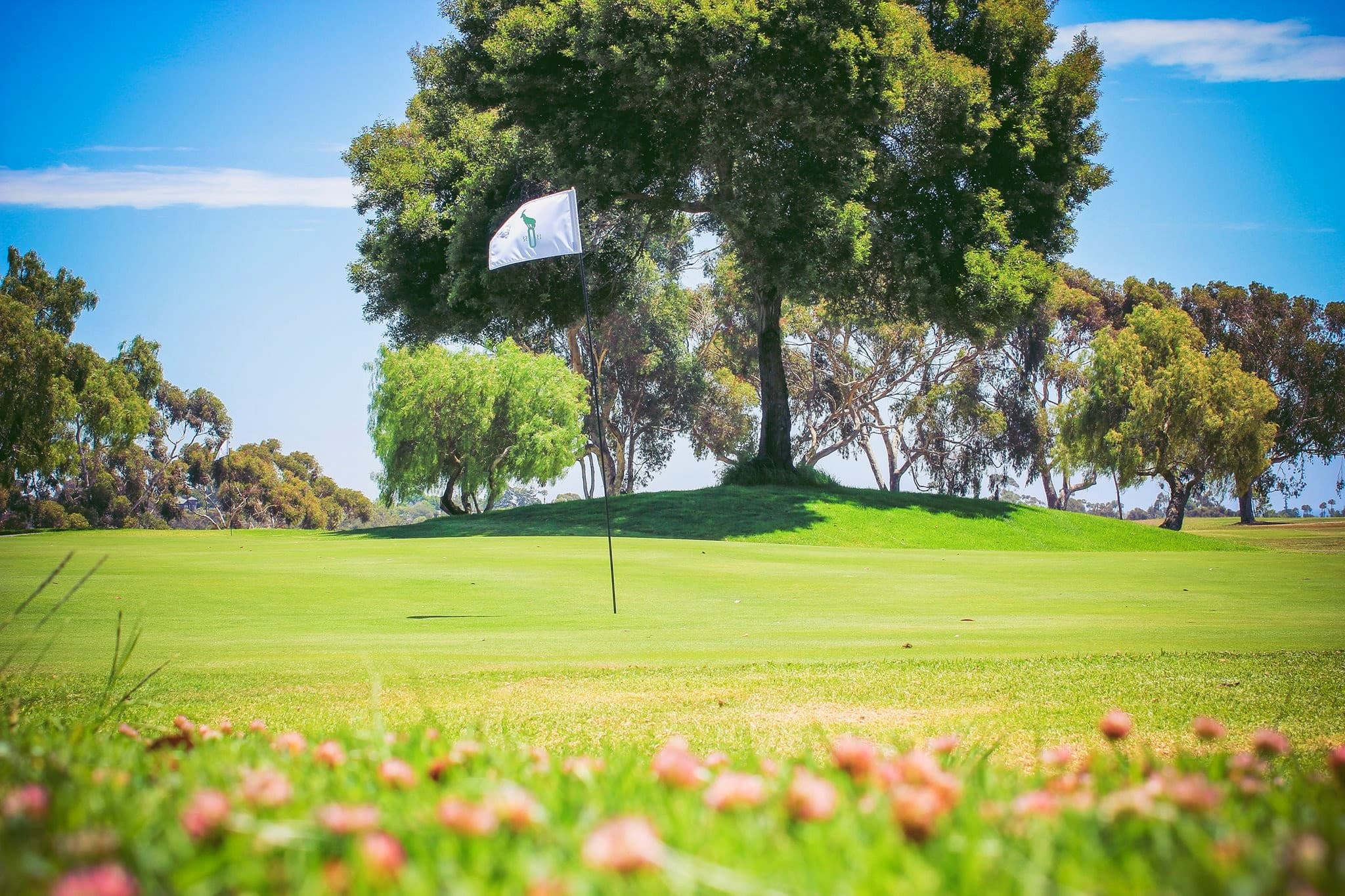 Junior golf at Goat Hill Park